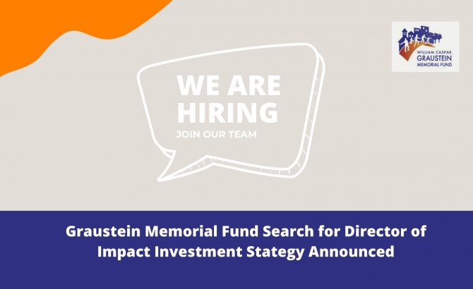 Director of Impact Investment Strategy